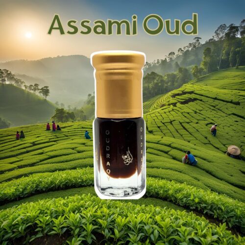 Assami Oud Attar Perfume Oil Oudh Assam by Oudraqy